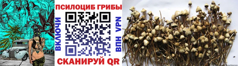 блэк спрут зеркало Тихвин Псилоцибиновые грибы Magic Shrooms